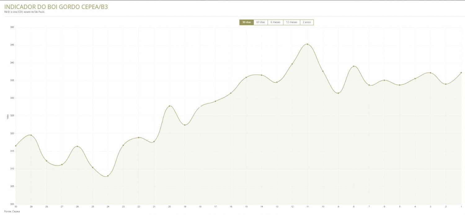 PECUARISTA COLOCA O “BOI NA SOMBRA” COM ARROBA DO BOI GORDO A R$ 350 2 Screenshot 31