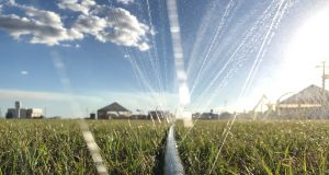 Irrigação por microaspersão pode gerar economia de até 50% em energia elétrica