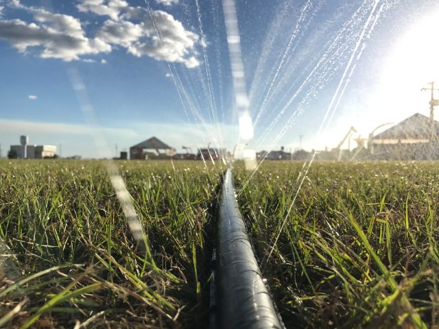 Irrigação por microaspersão pode gerar economia de até 50% em energia elétrica Irrigação por microaspersão pode gerar economia de até 50% em energia elétrica