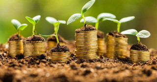 financiamento rural