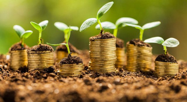 financiamentorural