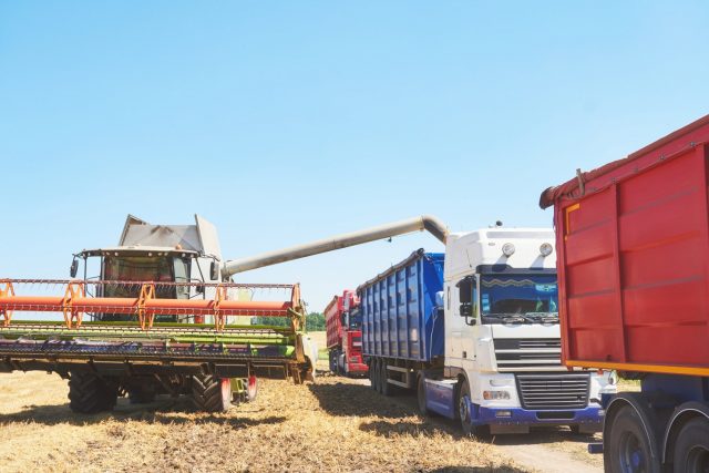 Especialista dá dicas de como não amargar perdas tomando alguns cuidados que são fundamentais na hora de transportar os grãos Especialista dá dicas de como não amargar perdas tomando alguns cuidados que são fundamentais na hora de transportar os grãos