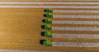 Inovação e eficiência: a chave para o futuro da produção agrícola