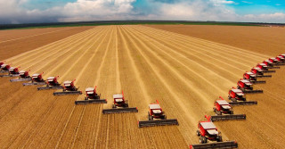 MS lidera em crescimento do PIB do agronegócio entre os estados brasileiros