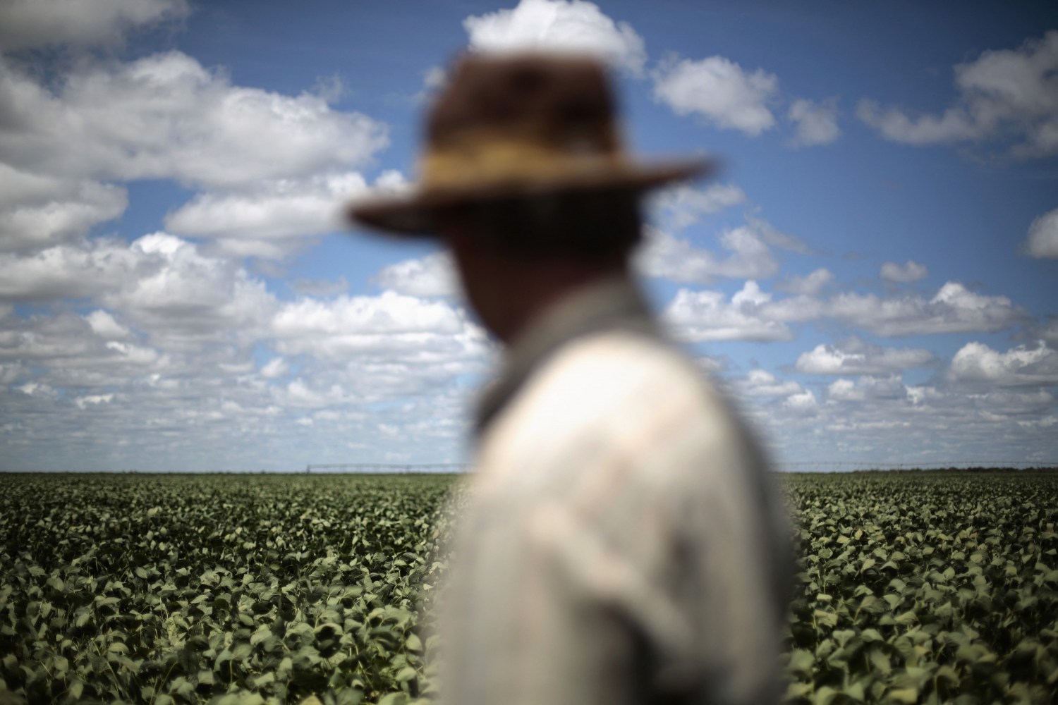 governo renegociará dívidas do produtor