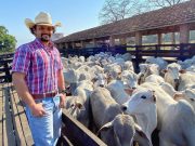 Curso traz pecuária lucrativa com papo de produtor pra produtor - victor darido