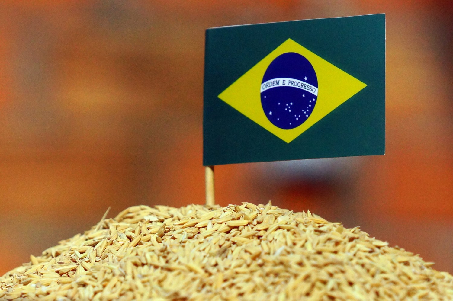 importação de arroz