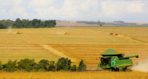 Valor Bruto da Produção Agropecuária baterá R$ 1,2 tri em 2022