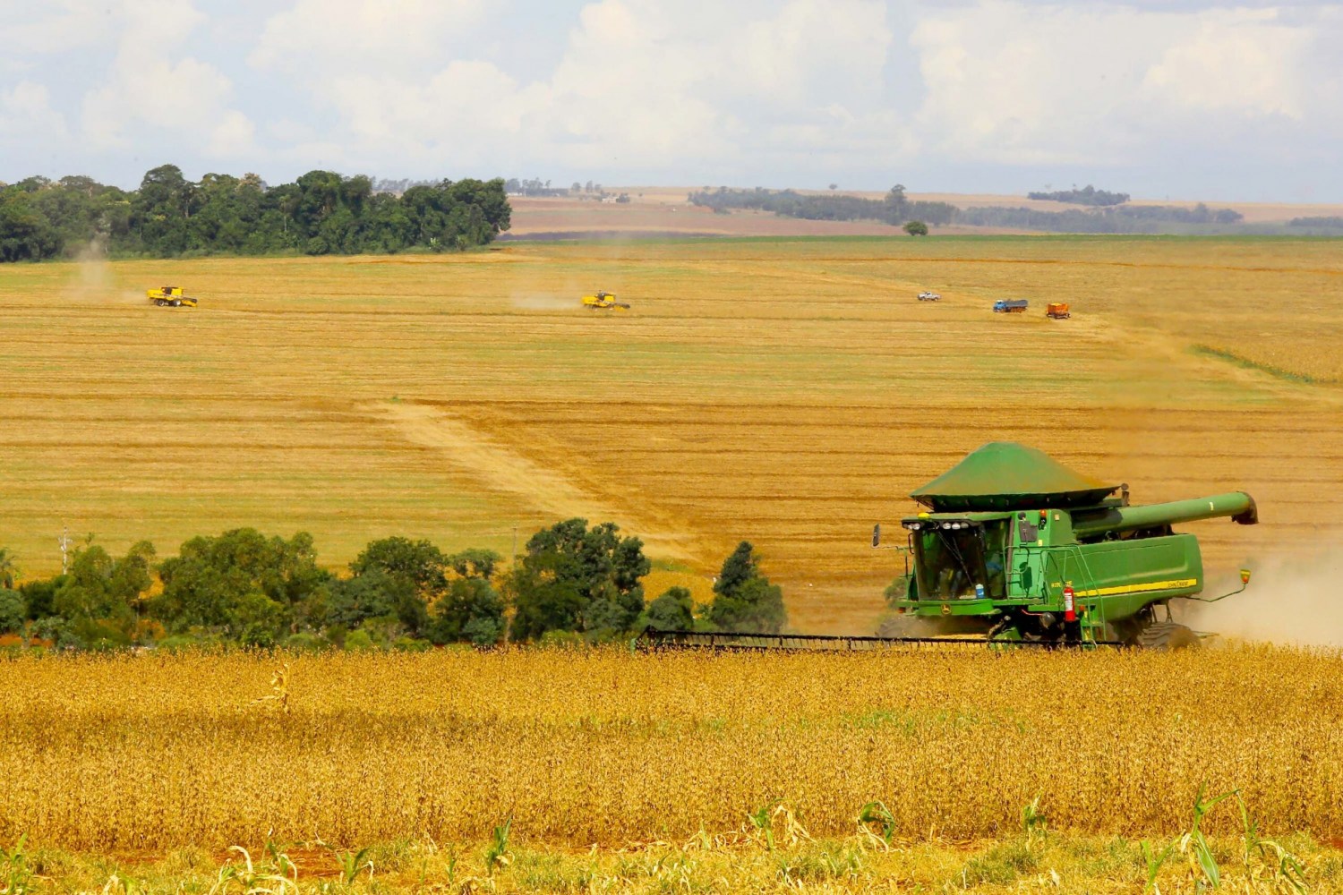 Valor Bruto da Produção Agropecuária baterá R$ 1,2 tri em 2022