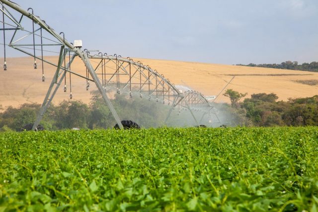 Brasil lidera avanço da produtividade agrícola