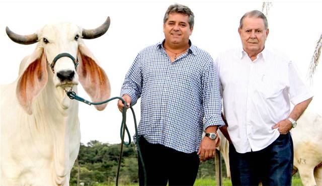 Renato Miranda Caetano Borges, criador de Indubrasil e proprietário da Fazenda Tamboril do Cassu