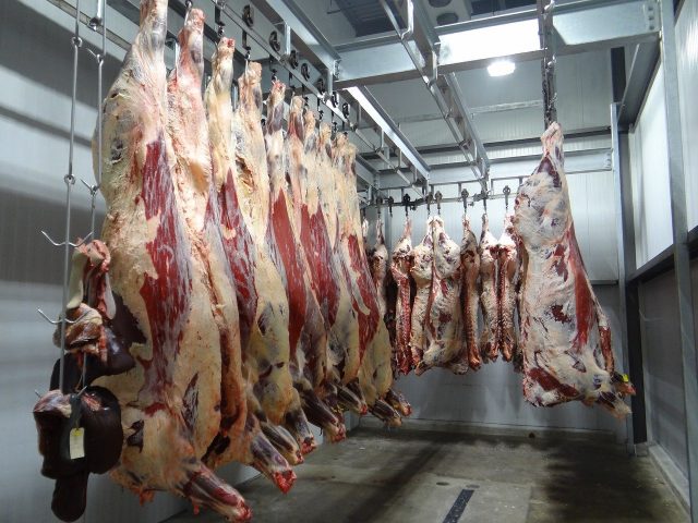 carnebovina