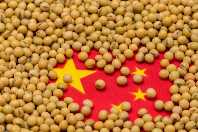 china-soja-kbBEg