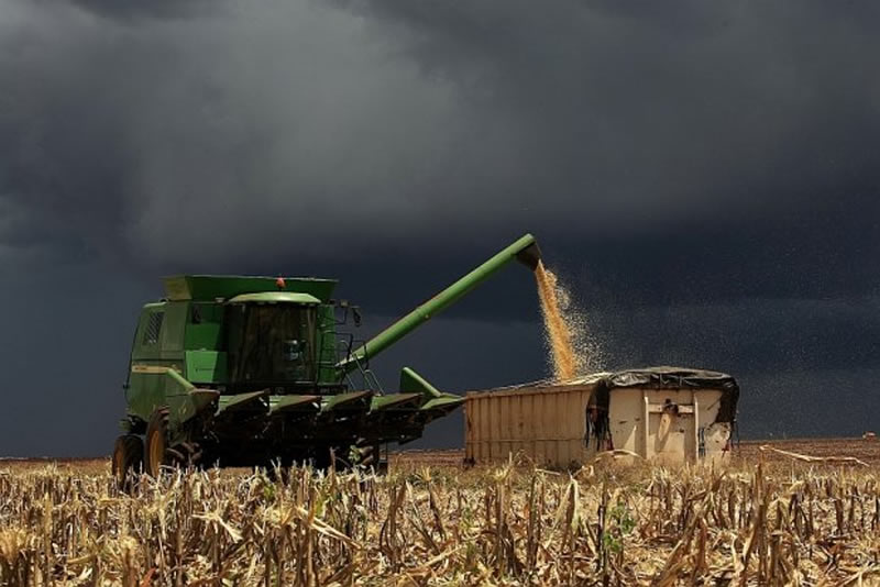 El Niño continuará até meados de 2024, ameaçando a agricultura