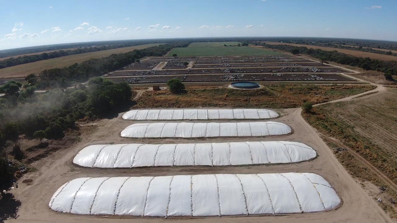 começar a planejar a alimentação do gado no inverno