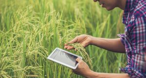 O Brasil tem uma agricultura diversificada com produtos como soja, milho, café, arroz e proteínas animais, o que é bom para a economia, mas como será que o agro se saiu em 2023 e quais são as perspectivas para o agro em 2024?