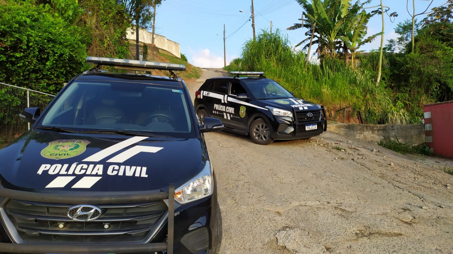 policia civil de santa catarina