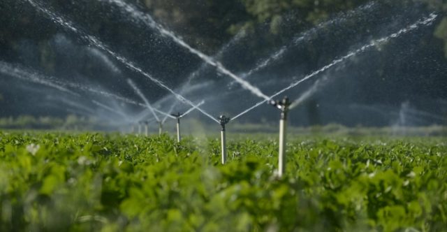 Irrigação na agricultura: como aumentar a produtividade das lavouras