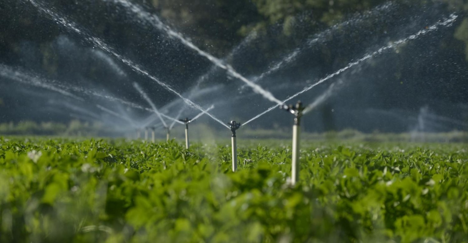 Irrigação na agricultura: como aumentar a produtividade das lavouras