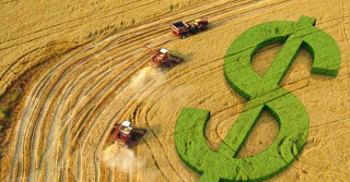A expansão do crédito rural para produtores pessoa física deve desacelerar