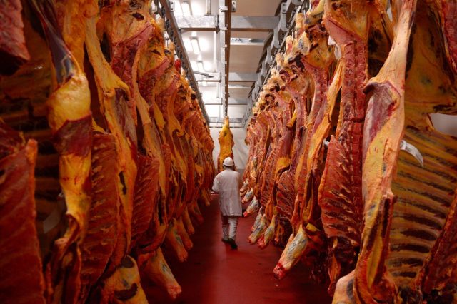 importação de carne da JBS