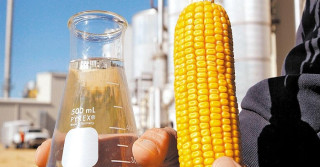 Mercado de etanol de milho aquecido traz novas oportunidades aos produtores