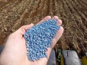 Linha Policote da Wirstchat aumenta a eficiência dos fertilizantes, alavancando a produtividade e reduzindo a quantidade do insumo utilizado