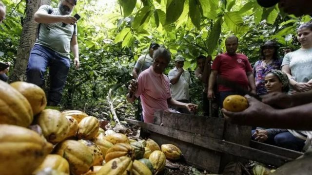 agro-gov-bahia