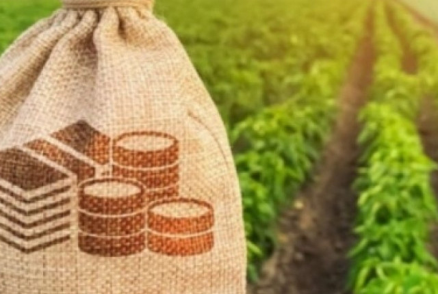Salários de R$ 50 mil: Setor no agronegócio procura profissionais executivos