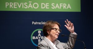 ministra tereza cristina falando auditorio