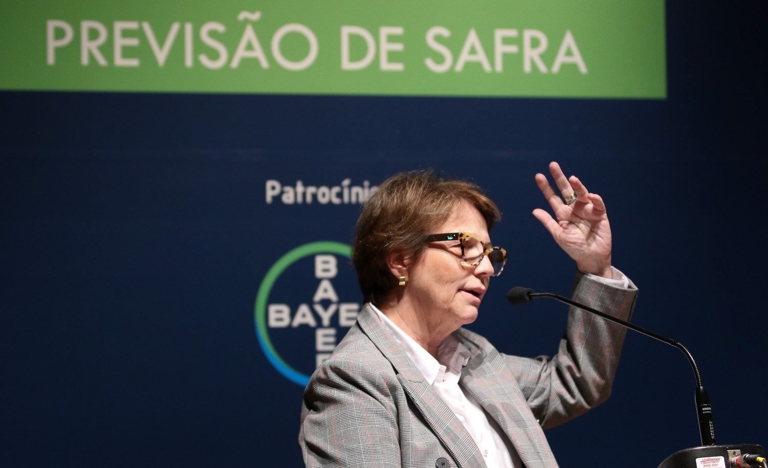 ministra tereza cristina falando auditorio