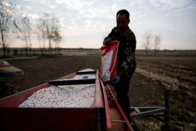 China fertilizante adubo