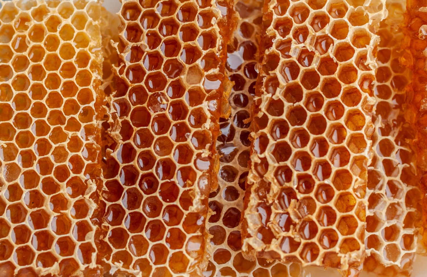 mel de abelha sem ferrão