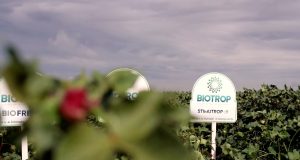 Biotrop-no-campo