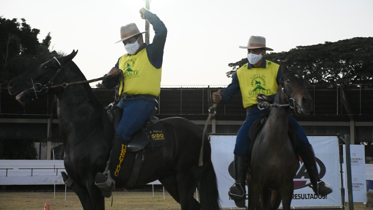 Criadores promovem evento do Mangalarga Marchador em Goiânia