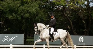 Exposição do Cavalo Lusitano será palco de Concurso de Adestramento Nacional; competição estará entre os destaques da programação da principal mostra da raça Lusitana nas Américas