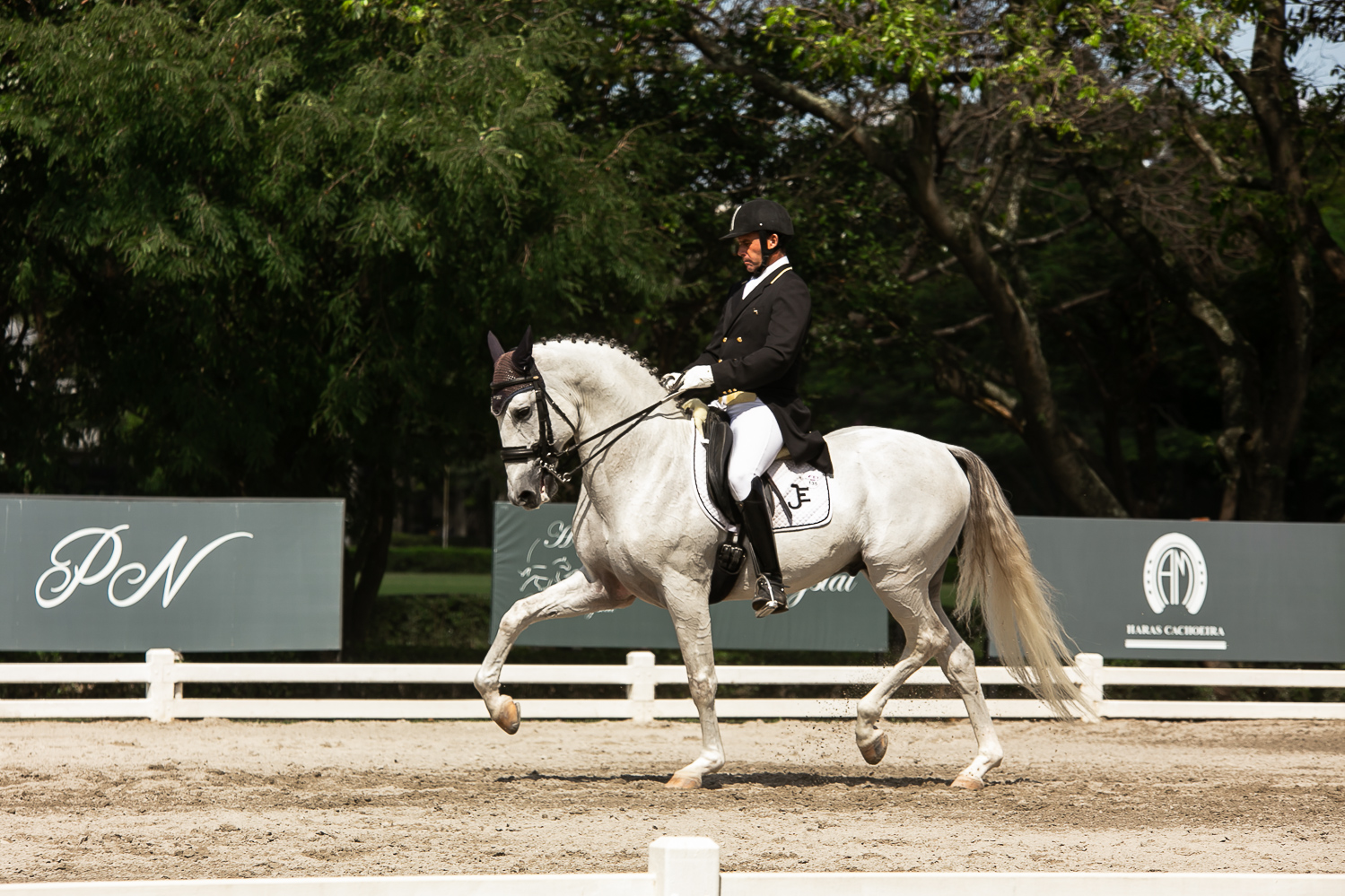 Exposição do Cavalo Lusitano será palco de Concurso de Adestramento Nacional; competição estará entre os destaques da programação da principal mostra da raça Lusitana nas Américas