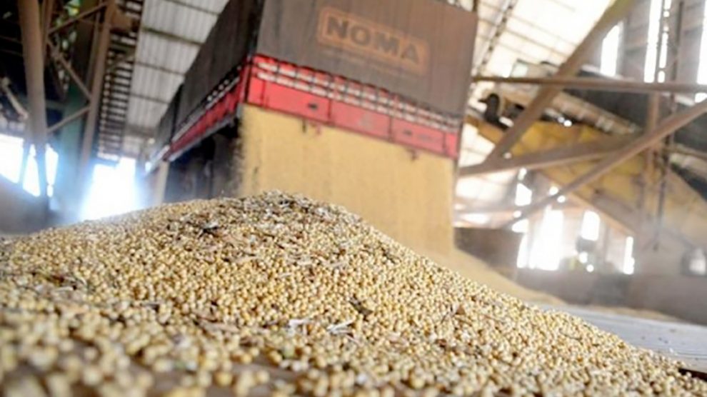 Maior esmagamento de soja em MT eleva exportações de farelo em 10,26% e de óleo em 26,76%, diz Imea
