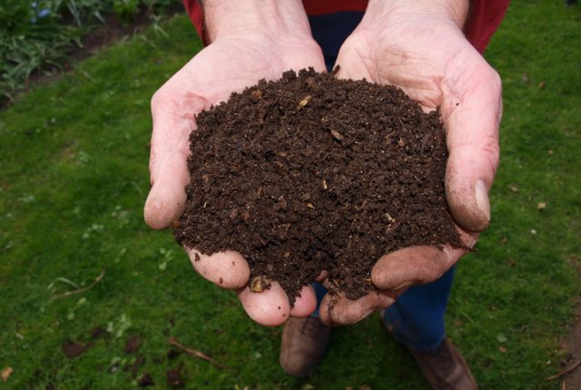 adubos-e-fertilizantes-terra