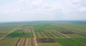 agro_Sinop_ILPF_06mar22_Embrapa