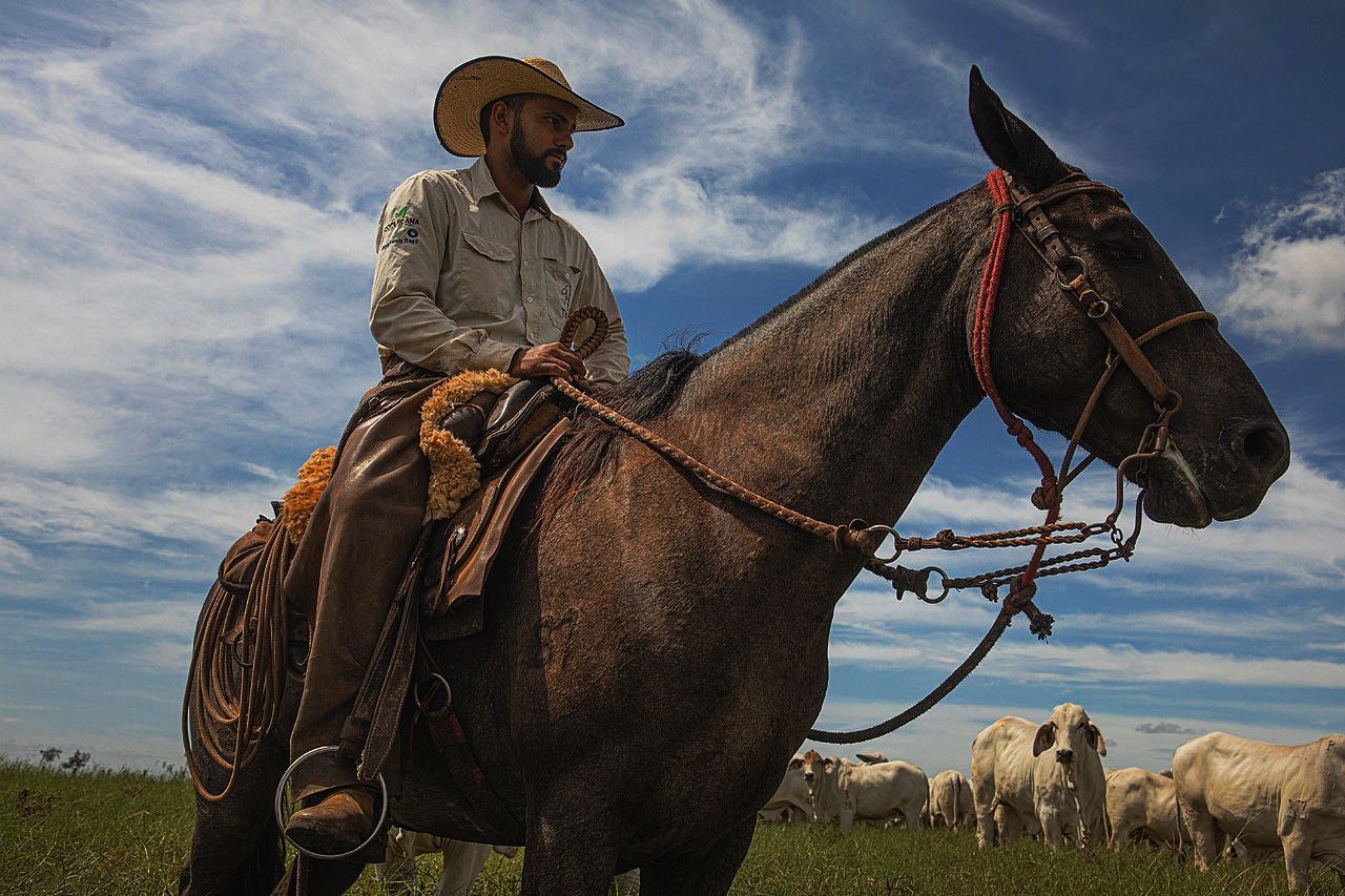 vaqueiro montado a cavalo fotao - fotos romancini