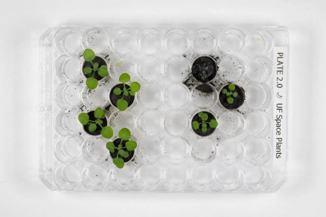 agricultura solo lunar