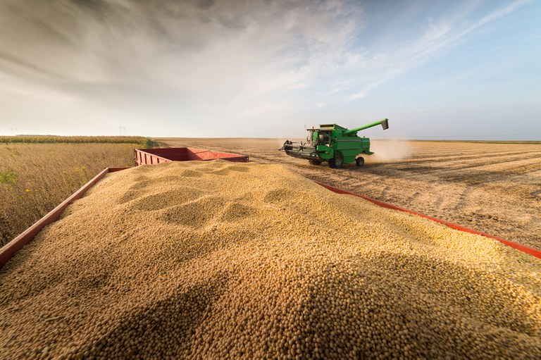 Produção de soja no Brasil em 2022/23 deve ser de 155 milhões de toneladas,  diz consultoria