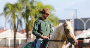 Expo Brasileira surpreende pela qualidade funcional dos cavalos Mangalarga em pista