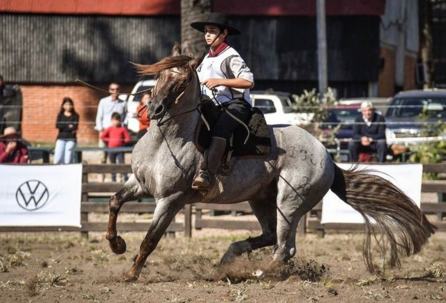 Francisco Cachapuz Móglia - Crédito ZAF Fotografias Divulgação