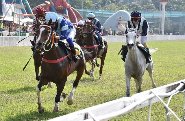 GRANDE-PREMIO-WATHBA-STALLIONS-CUP-FOR-FILLIES-I---evento-do-turfe-paulista GRANDE-PREMIO-WATHBA-STALLIONS-CUP-FOR-FILLIES-I---evento-do-turfe-paulista