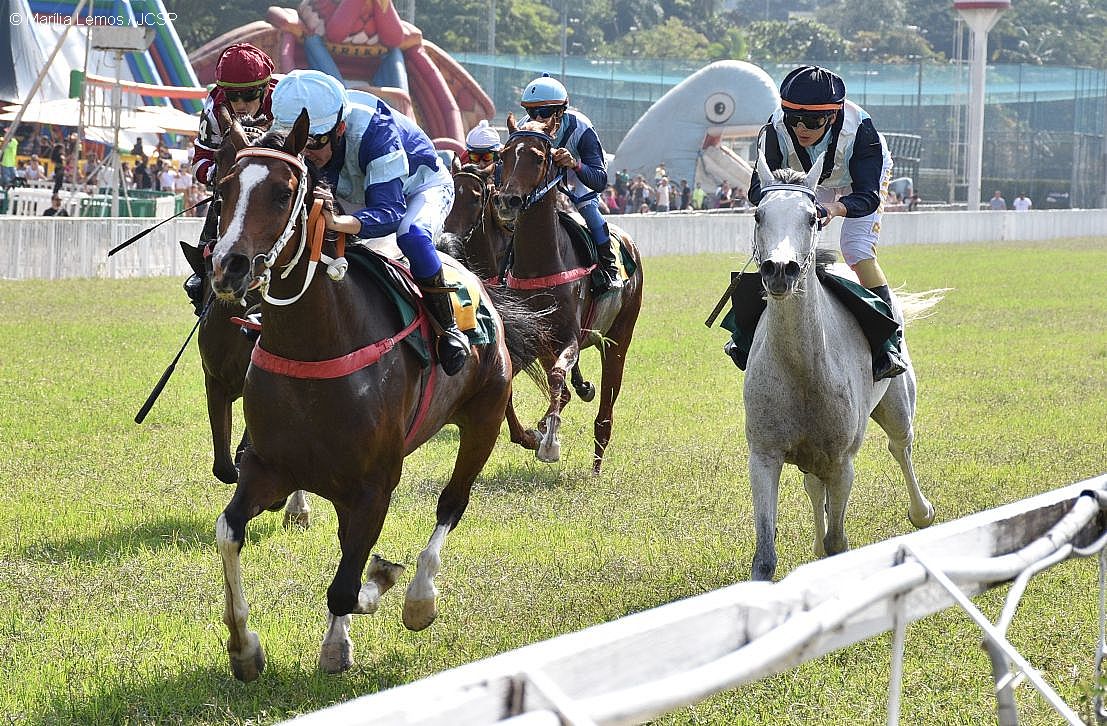 GRANDE-PREMIO-WATHBA-STALLIONS-CUP-FOR-FILLIES-I---evento-do-turfe-paulista