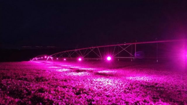 Lavoura_Led1-860x484