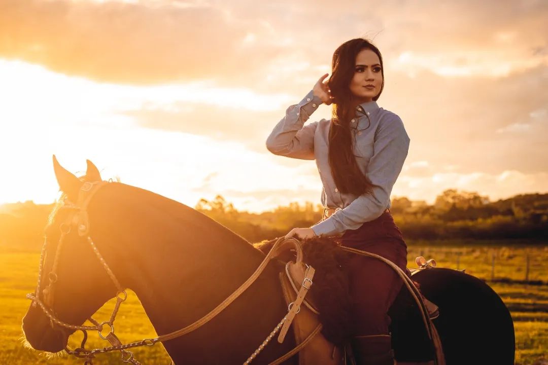 Cavalos: criação movimenta o agronegócio brasileiro