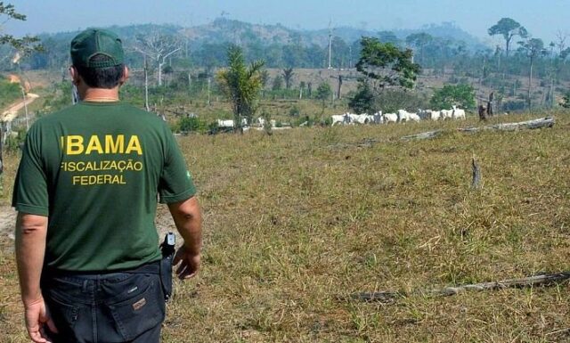 Ibama. Foto: Divulgação/Canal Rural